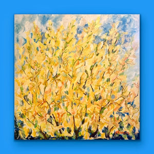 Forsythia